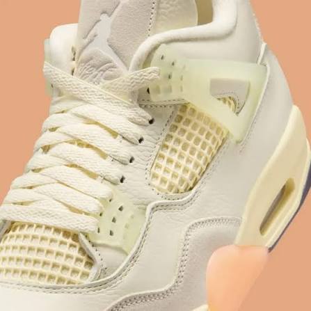 Air Jordan 4 bird of paradise 